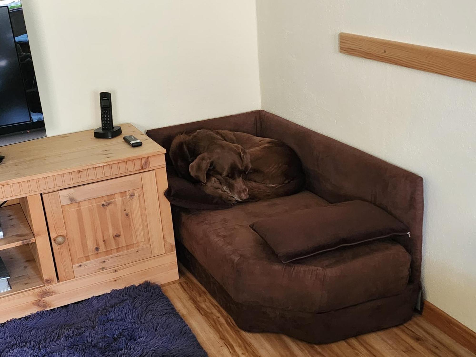 Ferienwohnung Baer Vohenstrauss Zewnętrze zdjęcie
